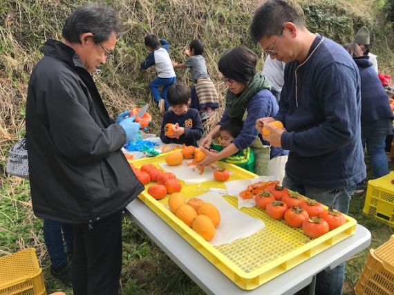 干し柿作り体験42.jpg