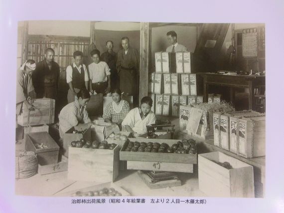 次郎柿の歴史